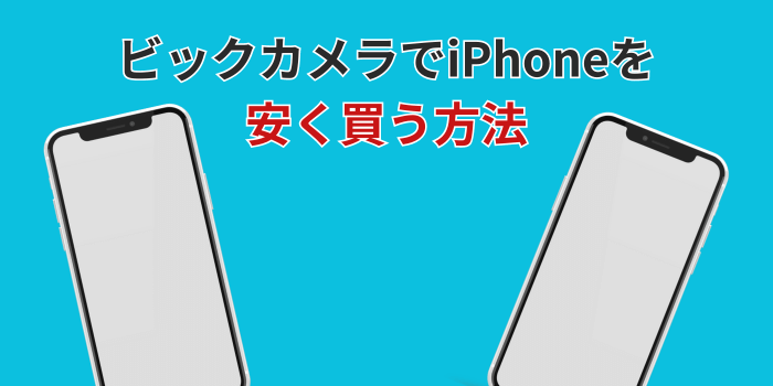 ビックカメラ iphone 安く買う方法